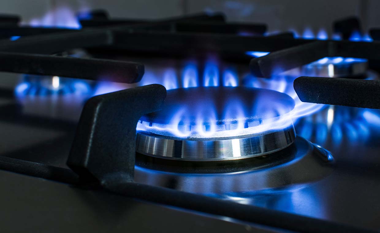 COCINA GAS PORTATIL 1 FUEGO HOMOLOGADA - [MEJOR PRECIO 2023