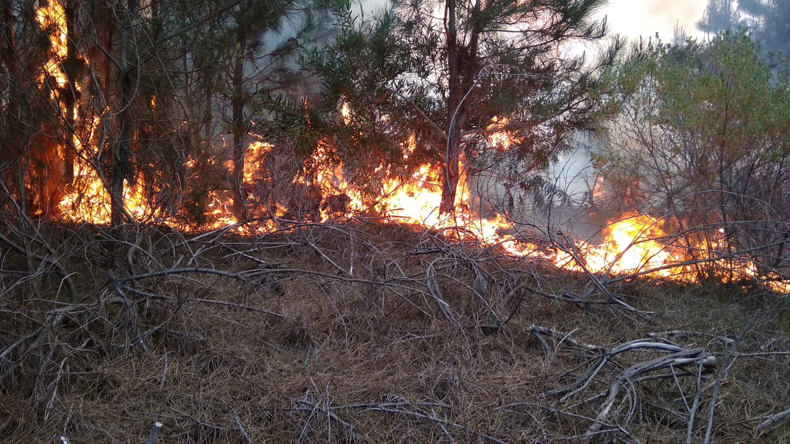 En este momento estás viendo Incendio en Villa Argentina: bomberos siguen trabajando y ya participaron 4 destacamentos